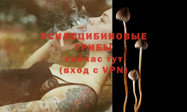 спиды Балабаново