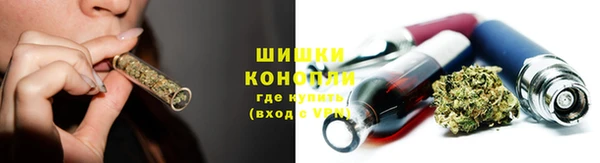 гидра Верея