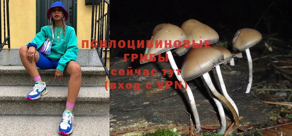 гидра Верея