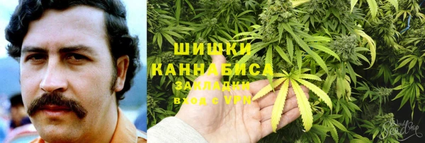 гидра Верея