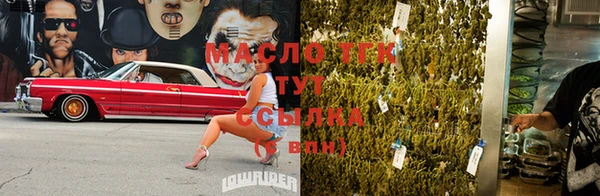 гидра Верея