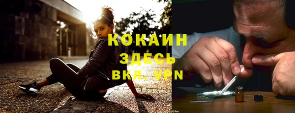 твердый Верхний Тагил