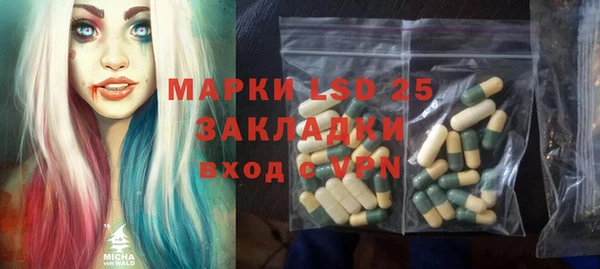 гидра Верея