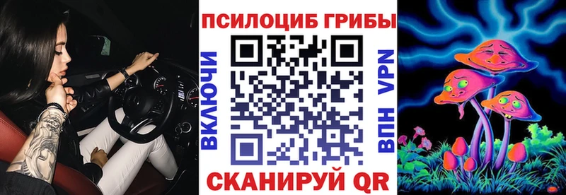 Галлюциногенные грибы Psilocybe  Купить  Лысково 